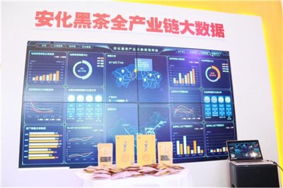 高馬二溪亮相全國“雙新雙創”博覽會 大數據賦能國禮茶，探索金融信息服務新路徑